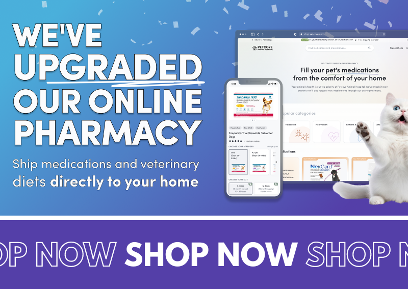 Carousel Slide 2: Check out our new and improved online pet pharmacy and store!